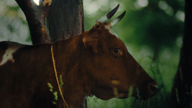 Mother's Milk commercial still