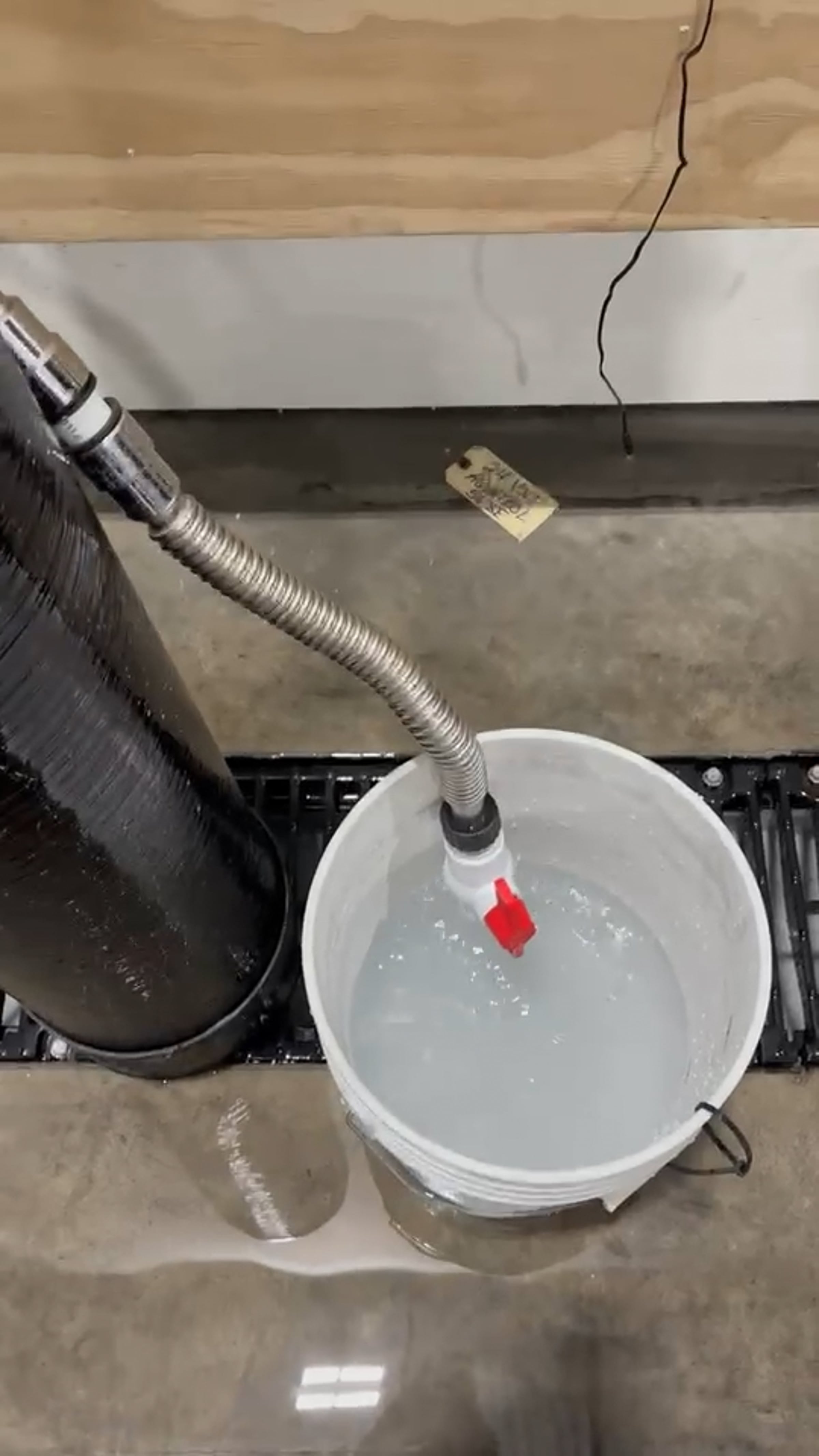 Final Flush and Sample | Videos & Movies on Vimeo