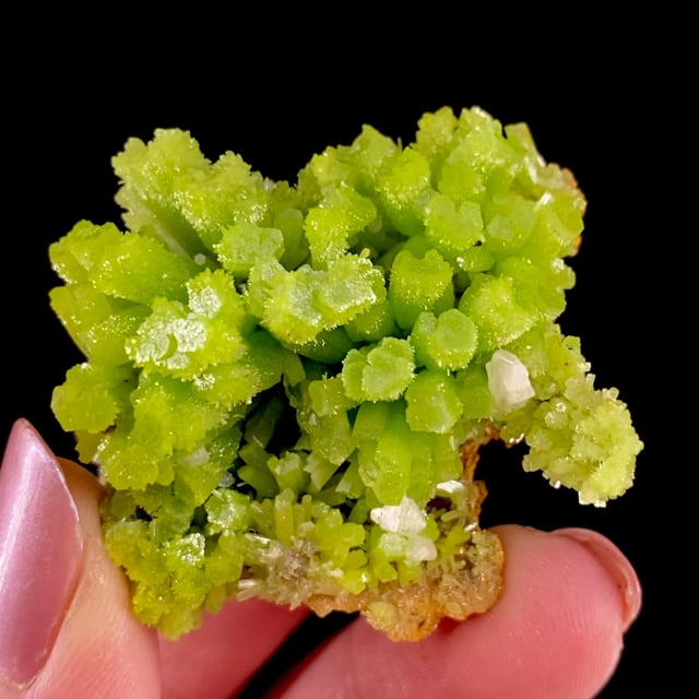 Pyromorphite