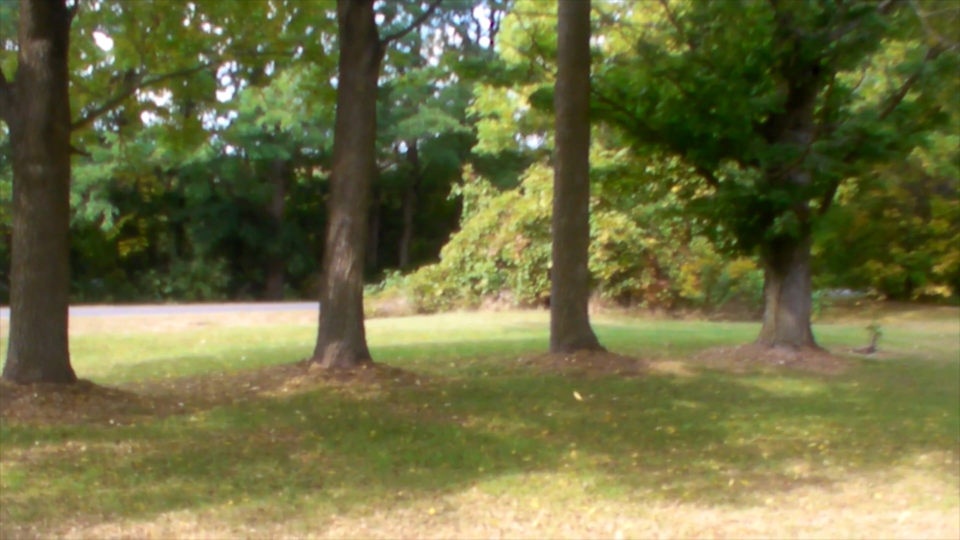 Katie + Zach Wedding (Camcorder)