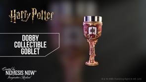 B6977A25 | Harry Potter Dobby Collectible Goblet | Nemesis Now