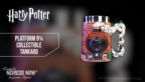B6982A25 | Harry Potter Platform 9 3/4 Collectible Tankard  Nemesis Now