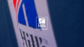 Related Embedded Video Item Thumbnail