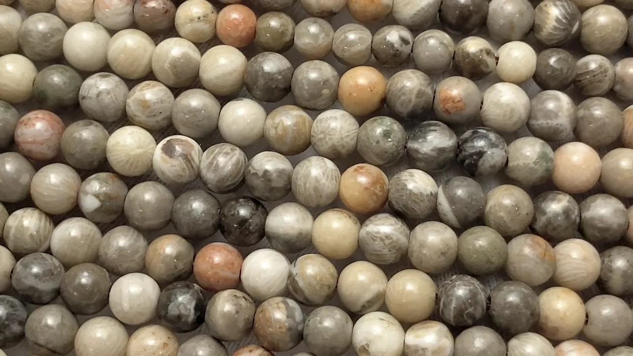 レア^^ 1kg超え大きな珊瑚の化石 フォシルコーラル 原石 1面磨き 372 レア^^ 1kg超え大きな珊瑚の化石 フォシルコーラル 原石 1面磨き 372