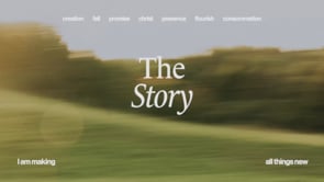 The Story: Consummation | Gary Roosma | Mundy Park