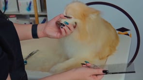 Pomeranian Cross Outline Trim FFW