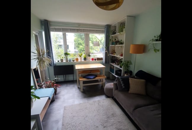 One-bedroom flat in Zone 1 [2 months SUBLET Jan 9] Main Photo