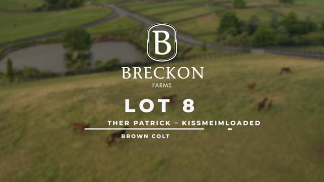 Lot 8