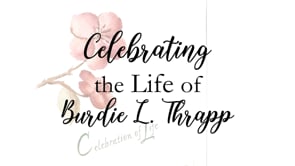 Video Placeholder image