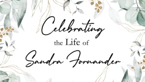 Video Placeholder image