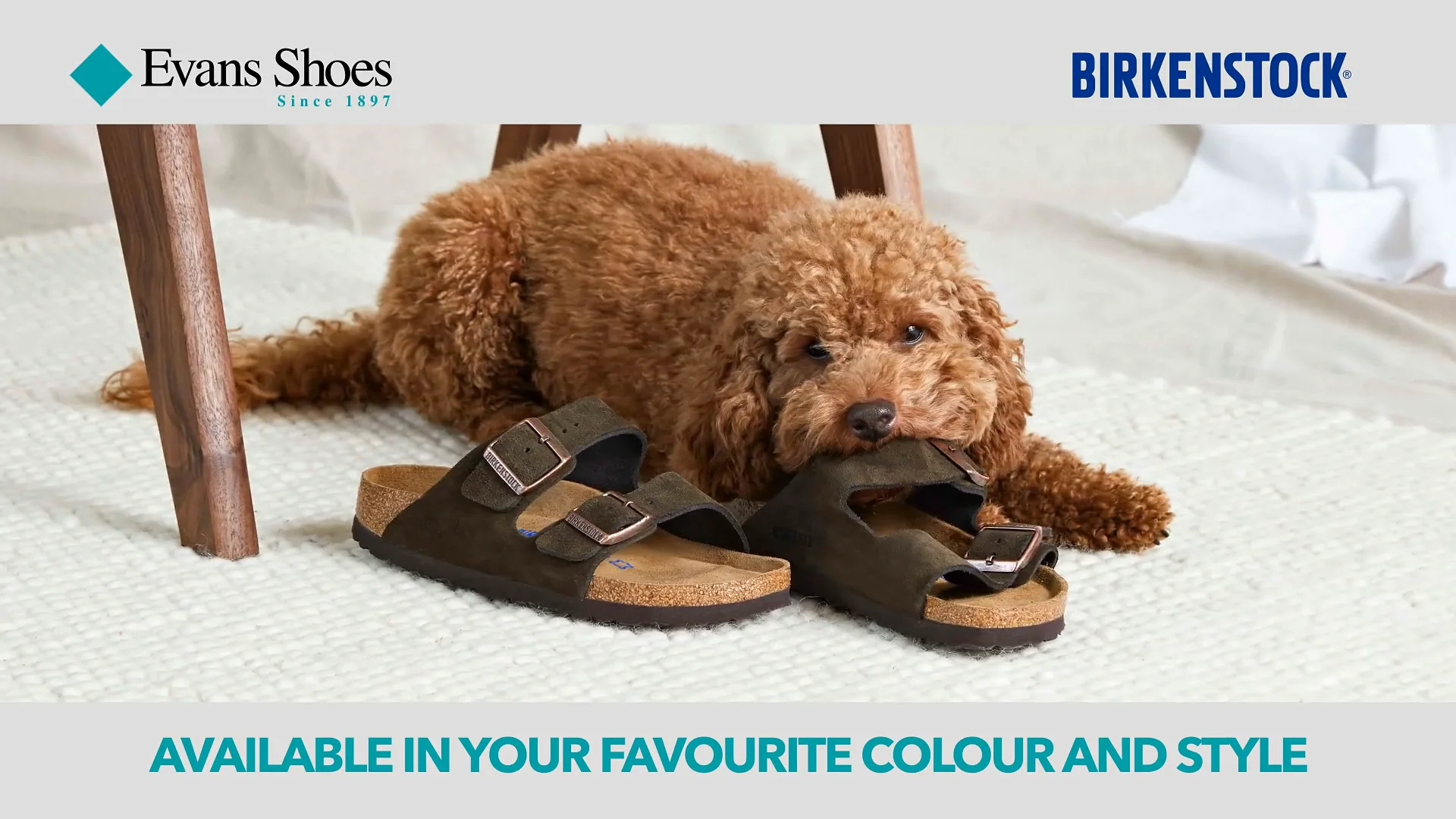 Evans footwear sale online