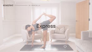 Related Embedded Video Item Thumbnail