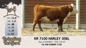 Lot #4 - KR 7100 HARLEY 306L