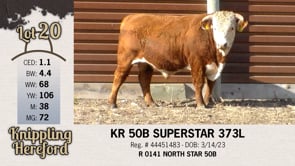 Lot #20 - KR 50B SUPERSTAR 373L