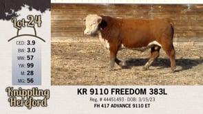 Lot #24 - KR 9110 FREEDOM 383L