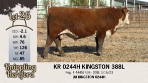 Lot #26 - KR 0244H KINGSTON 388L
