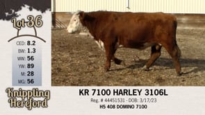 Lot #36 - KR 7100 HARLEY 3106L