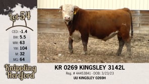 Lot #54 - KR 0269 KINGSLEY 3142L