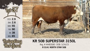 Lot #57 - KR 50B SUPERSTAR 3150L