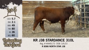 Lot #5 - KR J38 STARDANCE 310L