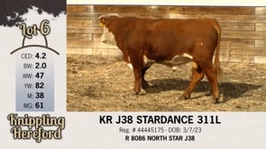 Lot #6 - KR J38 STARDANCE 311L