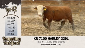 Lot #12 - KR 7100 HARLEY 339L