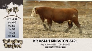 Lot #13 - KR 0244H KINGSTON 342L