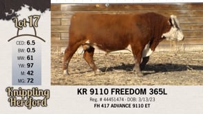 Lot #17 - KR 9110 FREEDOM 365L