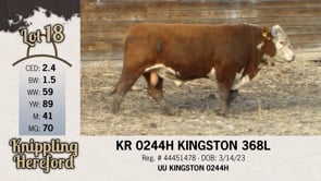 Lot #18 - KR 0244H KINGSTON 368L
