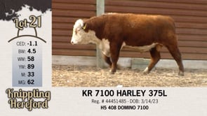 Lot #21 - KR 7100 HARLEY 375L