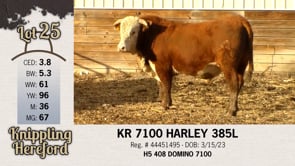 Lot #25 - KR 7100 HARLEY 385L
