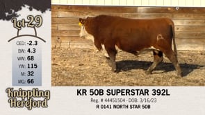 Lot #29 - KR 50B SUPERSTAR 392L