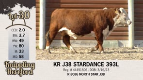 Lot #30 - KR J38 STARDANCE 393L