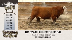 Lot #34 - KR 0244H KINGSTON 3104L