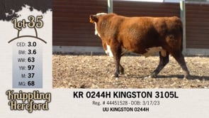 Lot #35 - KR 0244H KINGSTON 3105L