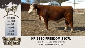 Lot #37 - KR 9110 FREEDOM 3107L