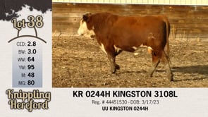 Lot #38 - KR 0244H KINGSTON 3108L