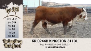 Lot #39 - KR 0244H KINGSTON 3113L