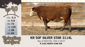 Lot #40 - KR 50F SILVER STAR 3114L