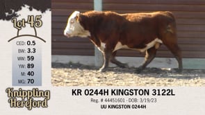 Lot #45 - KR 0244H KINGSTON 3122L