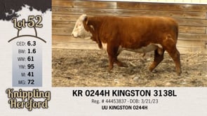Lot #52 - KR 0244H KINGSTON 3138L