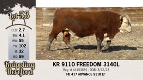 Lot #53 - KR 9110 FREEDOM 3140L