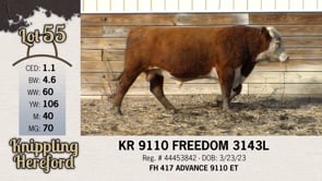 Lot #55 - KR 9110 FREEDOM 3143L