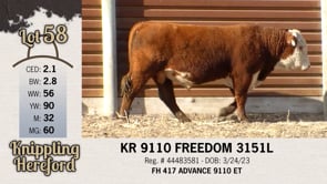 Lot #58 - KR 9110 FREEDOM 3151L