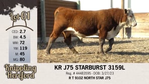 Lot #61 - KR J75 STARBURST 3159L