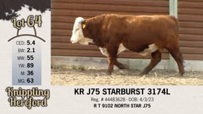 Lot #64 - KR J75 STARBURST 3174L