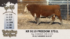 Lot #65 - KR 9110 FREEDOM 3751L