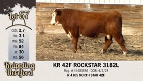 Lot #67 - KR 42F ROCKSTAR 3182L