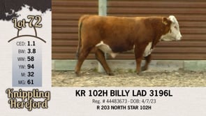 Lot #72 - KR 102H BILLY LAD 3196L