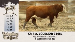 Lot #74 - KR 41G LODESTAR 3165L